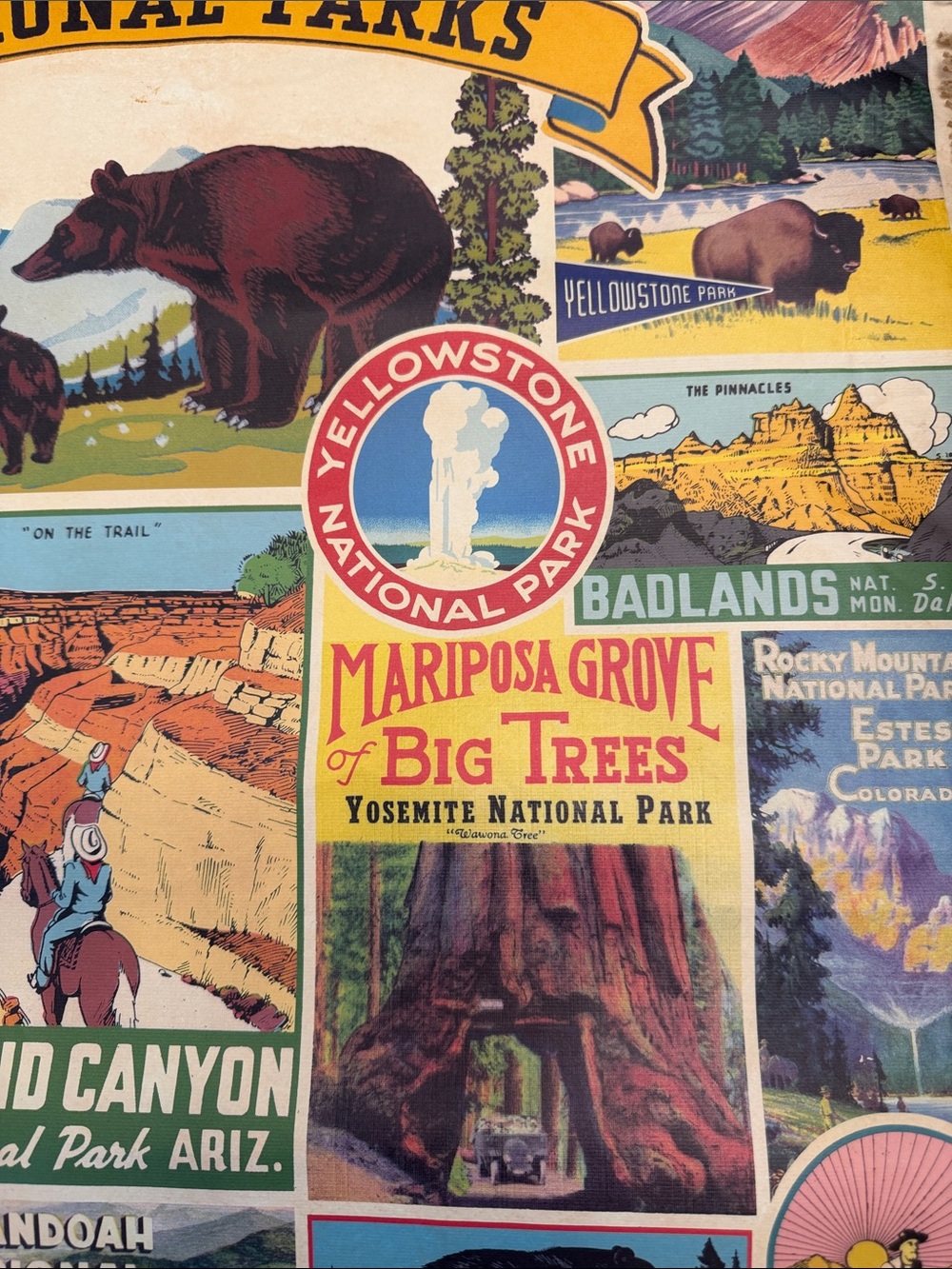 Cavallini Papers Poster 2017 Decorative Wrap 20X28 National Parks 🏞️ - Picture 4 of 12